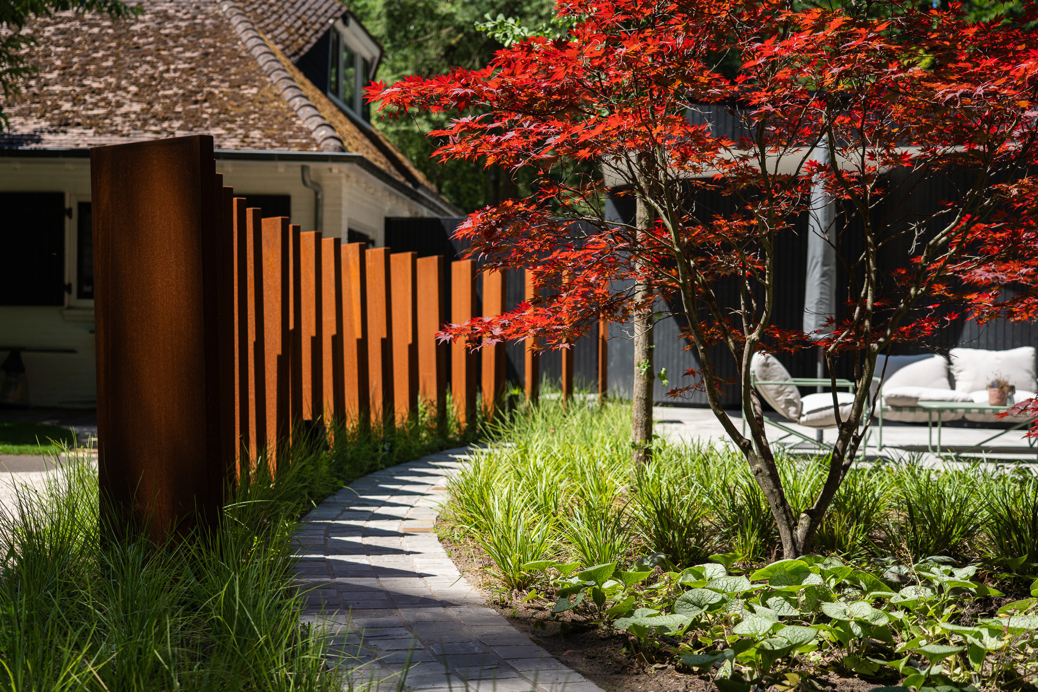 Tuinpad met cortenstalen schermen en rode Japanse esdoorn